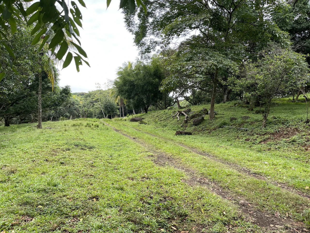 Development land for sale La Garita Alajuela 6.2 hectares - Gallery image 8