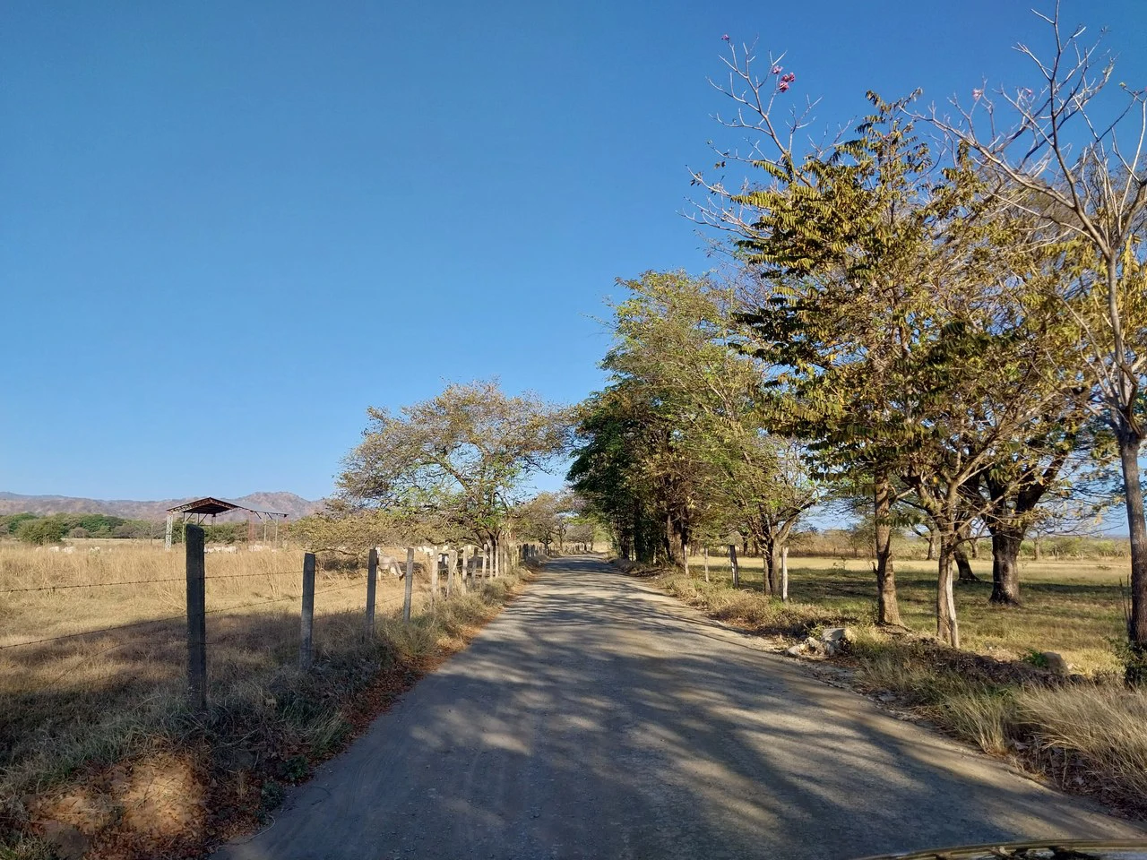 Bonita Finca de 187 Acres / 75 Ha. con Pozos y Ojo de Agua en Filadelfia - Costa Rica: Countryside, Lakefront and Riverfront Agricultural Land For Sale in Fildelfia - Gallery image 2