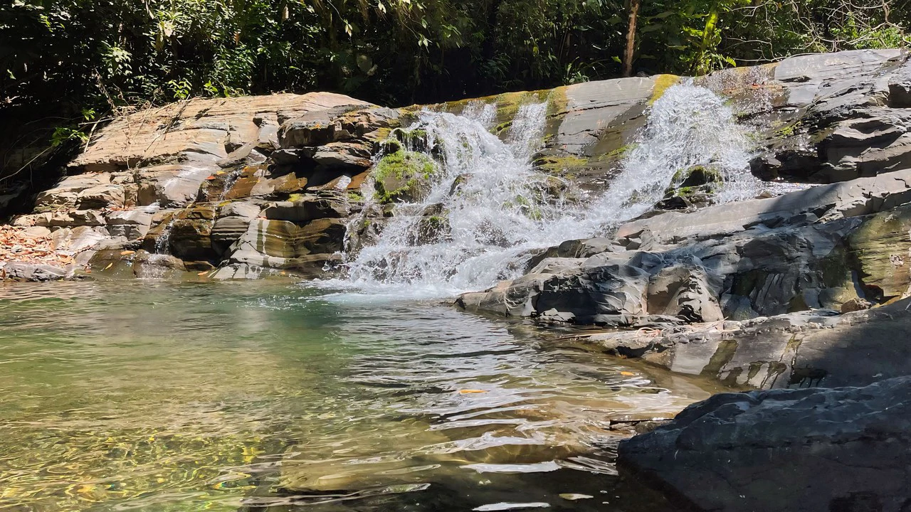 FINCA CERRO DEL TIGRE! OVER 20 ACRES OF PRIMARY FOREST AND WATERFALLS.: Mountain Agricultural Land For Sale in La Unión - Gallery image 27
