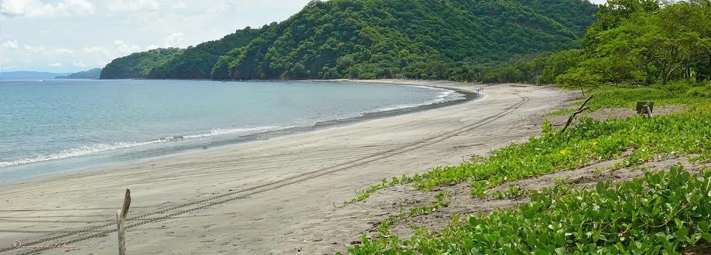 GRAN OPORTUNIDAD: GREAT OPPORTUNITY. Property of 48.3 hectares adjacent to the Hotel Riu - Gallery image 19
