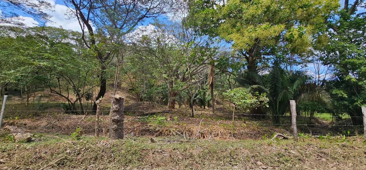 1-Acre Lot with Seasonal Creek - Build Your Dream Home, Rentals, or Business - Gallery image 8