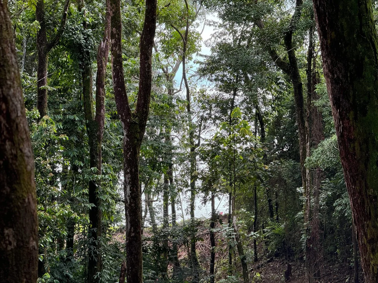 0.5 ACRES – Ocean View Property 1 Min Off Paved Highway In Escaleras Minutes To Dominical And Uvita!!!: Near the Coast and Mountain Home Construction Site For Sale in Dominical - Gallery image 4