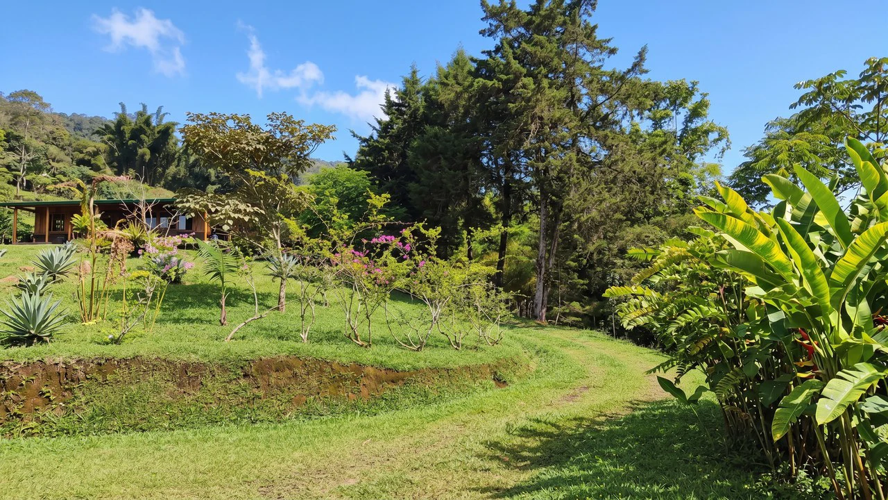 Mountain House For Sale in San Isidro del General - photo 2