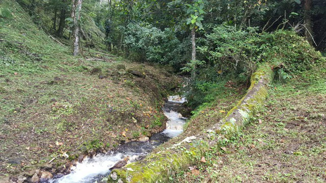 Cold & Hot springs surrounded by an overgrown farm, taken back by nature - Gallery image 86