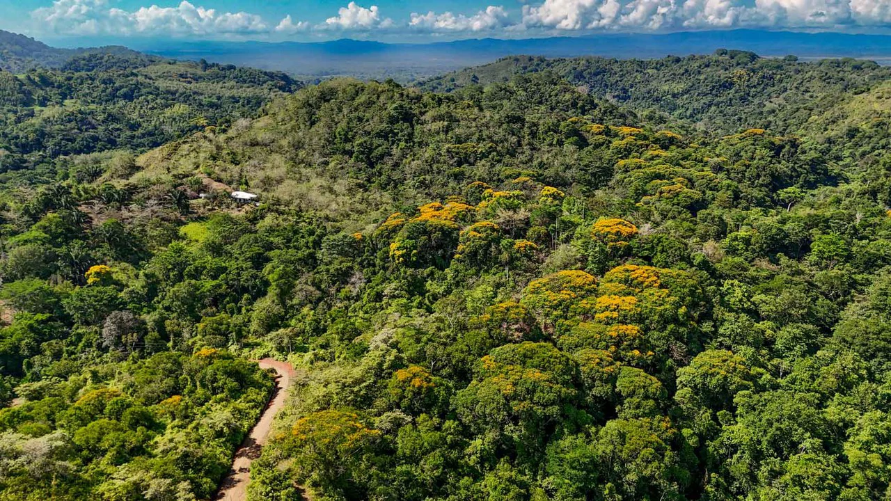 32 Acre Self Sustainable Farm with House Close Ojochal - Gallery image 67