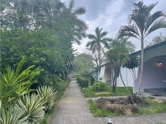 Tropical Garden Hotel Downtown Jaco - Gallery image 46