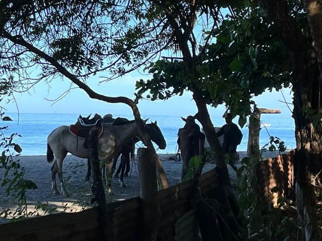 Private titled  Beachfront Property for sale in best prime position,  previously used as a 20-room hotel and camping side, directly in front of the most beautiful Conchal Beach - Gallery image 7