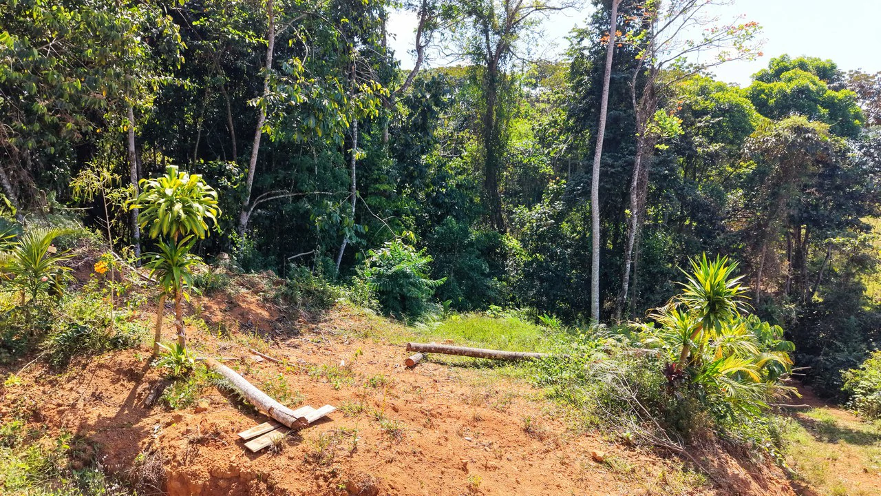 Countryside Home Construction Site For Sale in Cajón - Gallery image 4