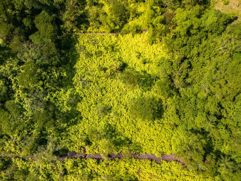 Ocean-View Oasis on Coveted Calle Perezoso - Gallery image 15