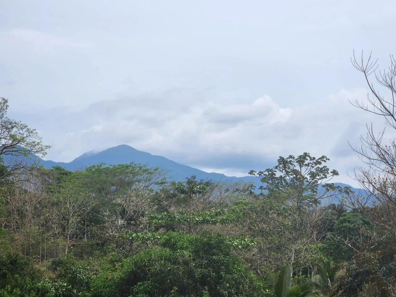 Countryside and Mountain Home Construction Site For Sale in San Juan de Mata - Gallery image 6