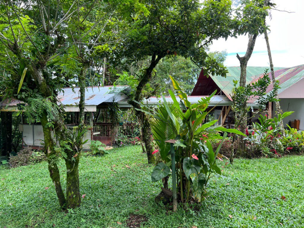 Mountain and Countryside House For Sale in Santa Elena - photo 11