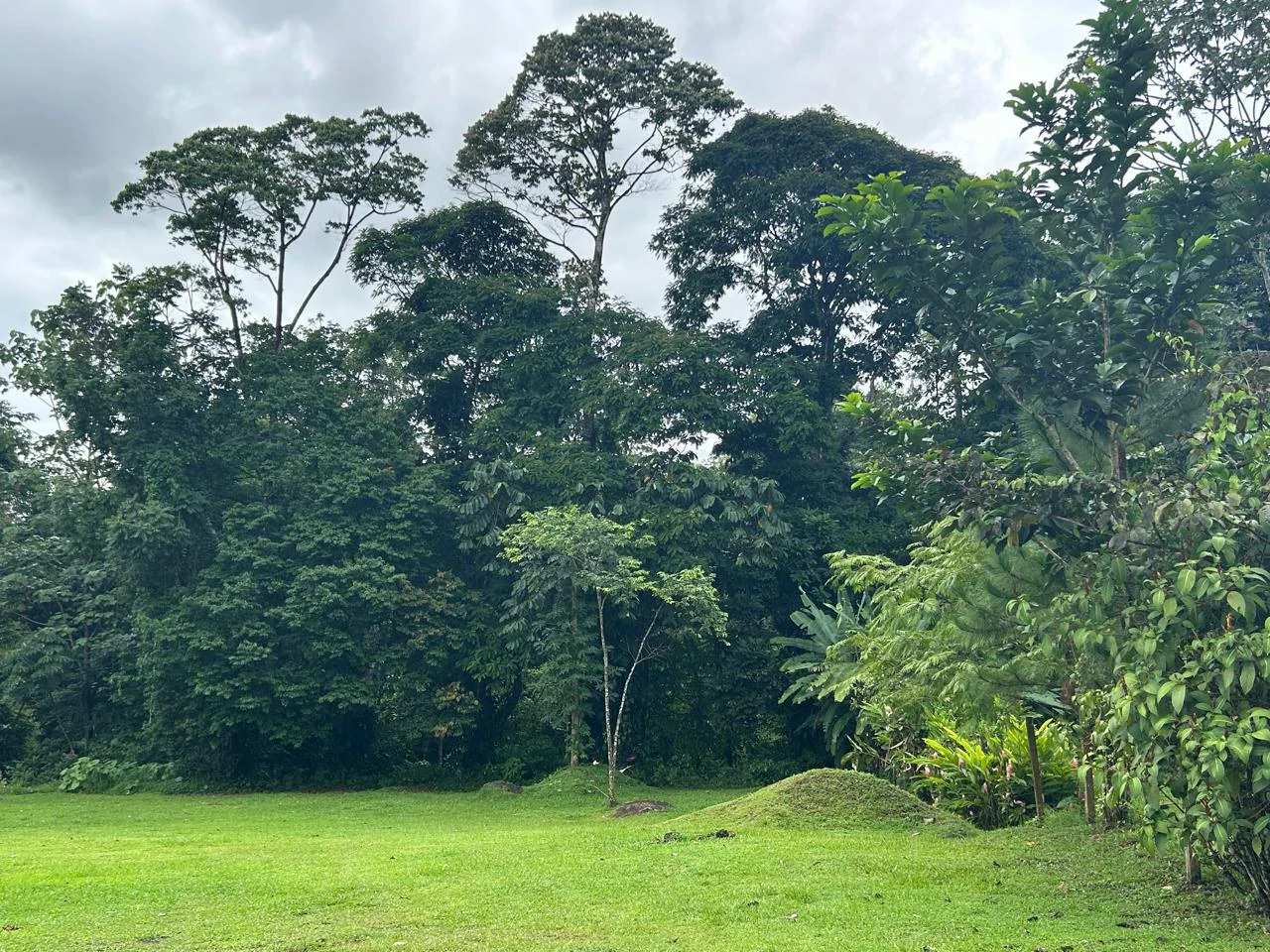 Incredible Building Lot: Riverfront Home Construction Site For Sale in Peñas Blancas - Gallery image 7