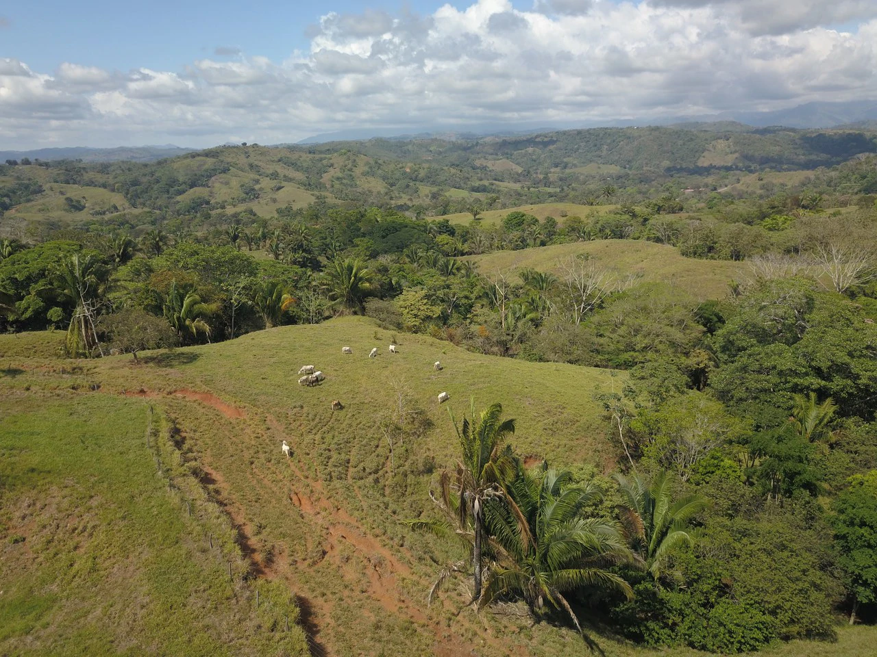 Finca Guapinol de Parrita: Near the Coast, Mountain and Countryside Agricultural Land For Sale in Parrita - Gallery image 10