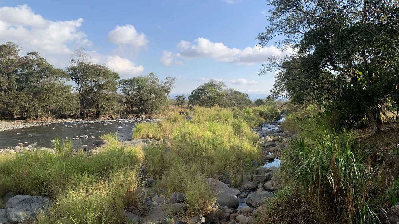 Talari Hotel: Nature and Bird Lover's Paradise - Mountain Lodge - Gallery image 28