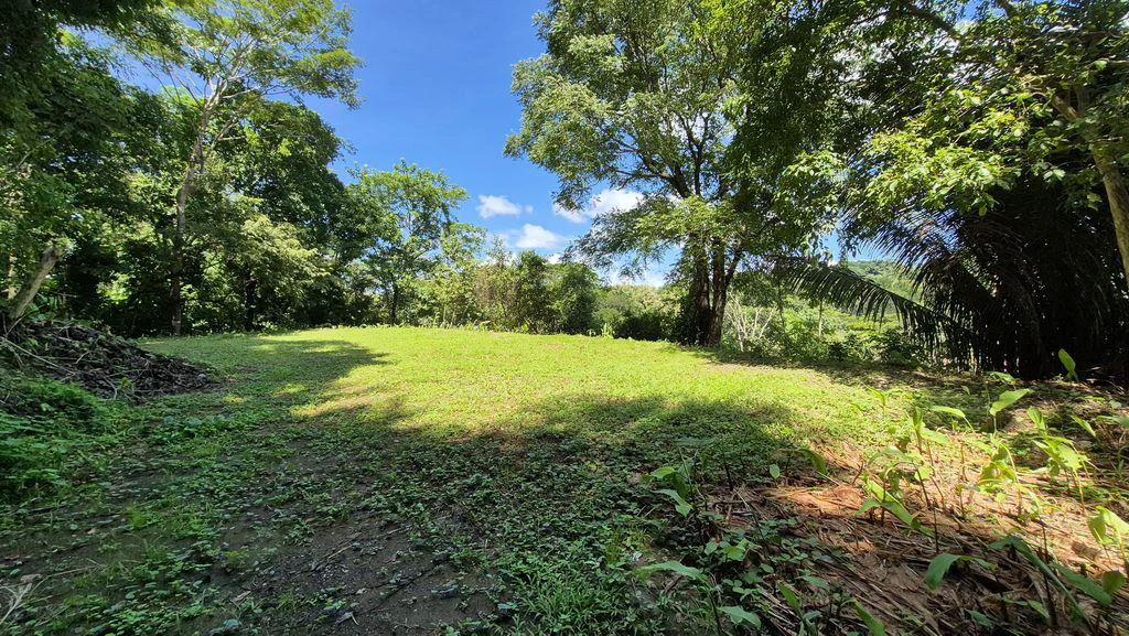 Lote Vista Montaña: Elevated Lot with Mountain and Jungle Views in Buena Vista, Just Minutes from Samara Beach - Gallery image 4