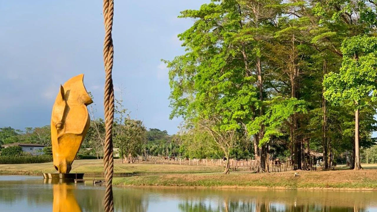 Playa Hermosa Oceanfront Lot 07: Amazing beach front lots for sale in Playa Hermosa in one of the most luxurious and private beach communities in Costa Rica! - Gallery image 97