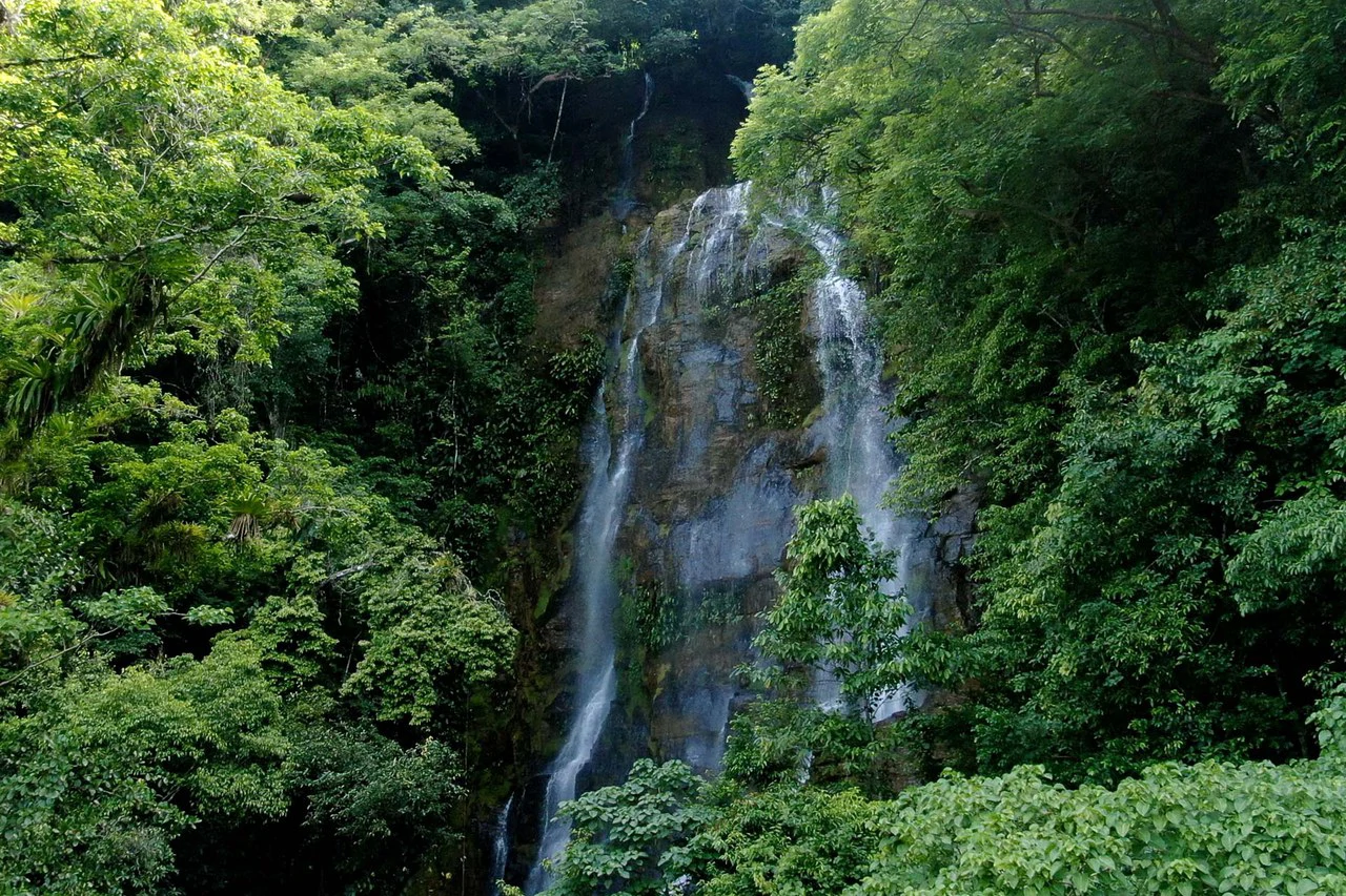 Luxury Waterfall-View Home with Guest House near Dominical, Costa Rica: Mountain House For Sale in Dominical - Gallery image 58