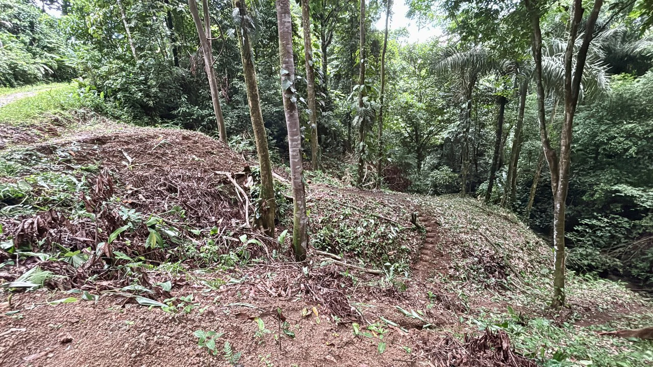 Unique property with creek and waterfall in lush jungle: Mountain Home Construction Site For Sale in Damas - photo 15
