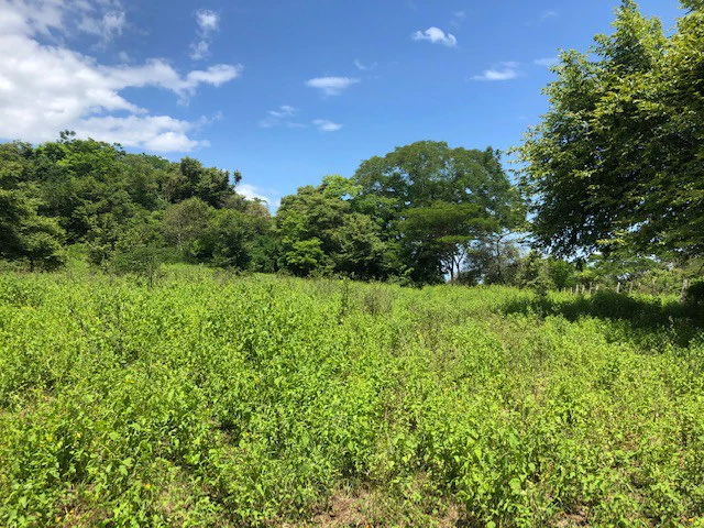 Amazing 50% discount for Huge ocean-view farm for sale surrounded by soft rolling hills and pristine nature - Gallery image 19