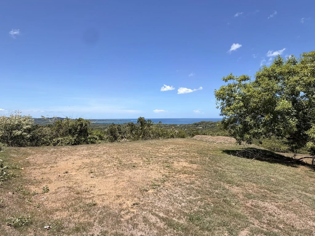 Lot #71: 2,250m2 San Pedro. Las Ventanas Community - photo 16