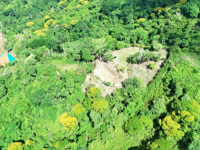 Captivating 3.15-Acre Property: Huge Pricedrop! Firesale Oceanview Lot in Tres Rios - Gallery image 46