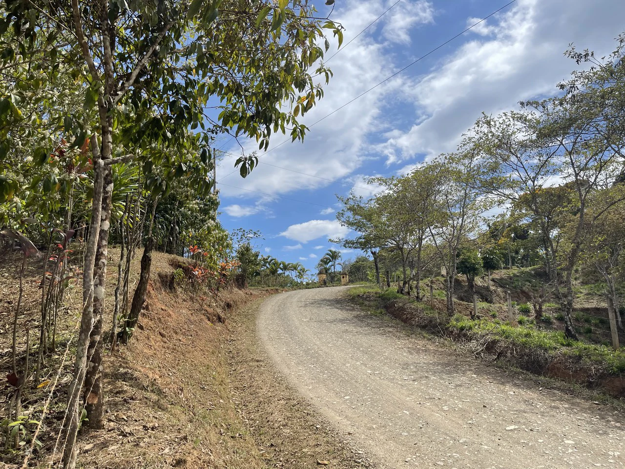 Elevated Two and a Half Acres with Cool Breeze in San Isidro del General - Gallery image 10