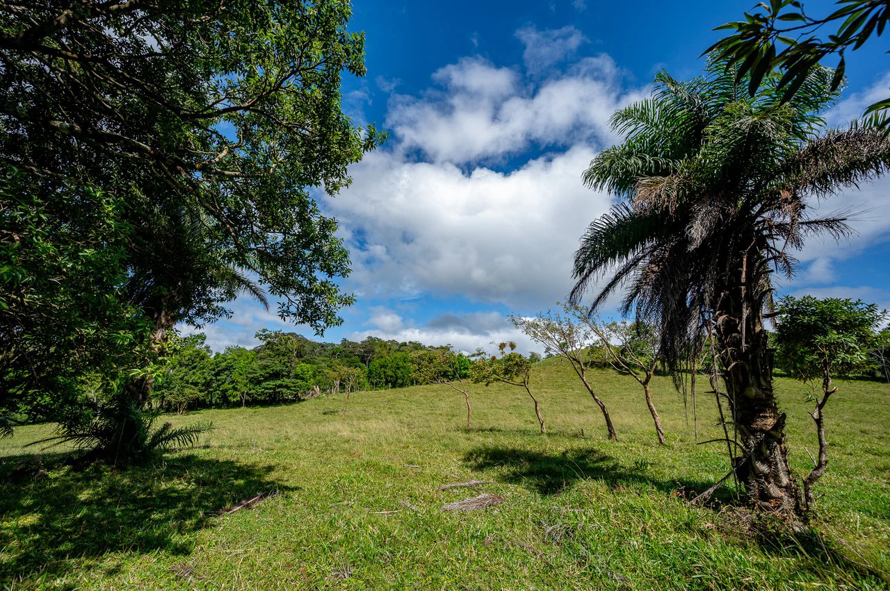 LA CABAÑA - COUNTRY ESTATE WITH HUGE POTENTIAL - Gallery image 49