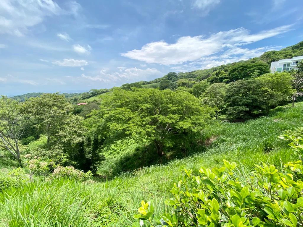 Lot for Sale in Gated Community Cerro Colon Ciudad Colon Costa Rica - Gallery image 6