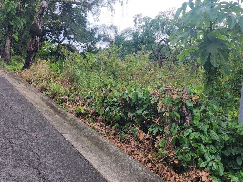 Subdividable lot in Manuel Antonio - Gallery image 4