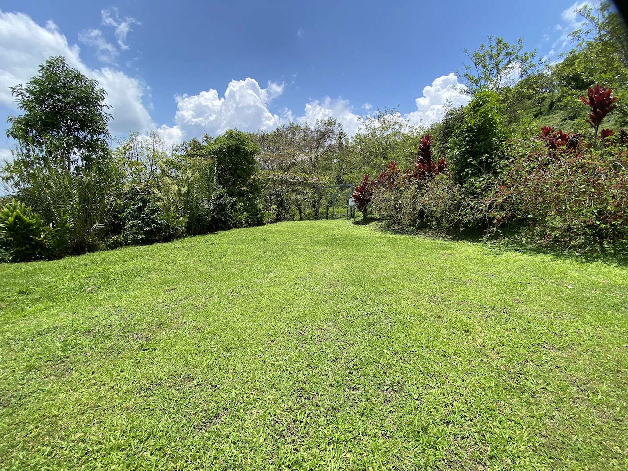 Beautiful Property with 4 cabins in El Castillo with gorgeous Lake View..!! - photo 3