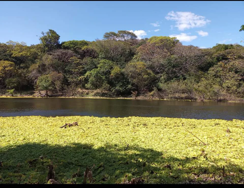 Finca Los Angeles: JUST REDUCED ! 281 Acre Farm with River, Lake, and Sunset views