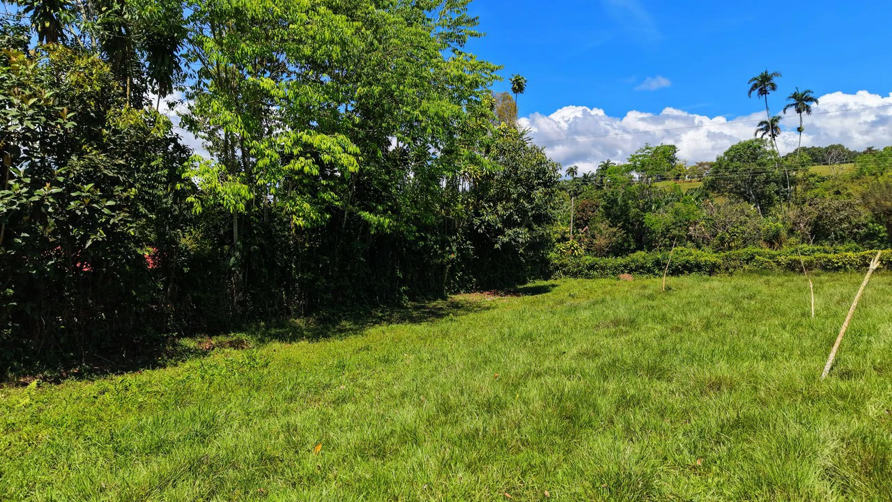 Countryside Home Construction Site For Sale in Daniel Flores - Gallery image 9