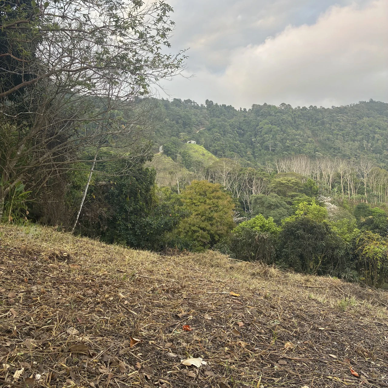 Ocean & Mountain View Lot with Multiple Building Sites-20 Minutes from Uvita - Gallery image 8