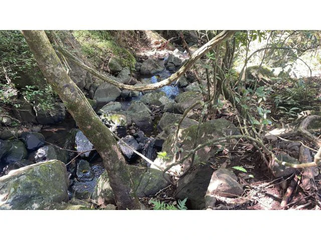 Nature Paradise Farm for sale in the mountains of Quebrada Grande, Building potential property 30 minutes away from Liberia - Gallery image 12