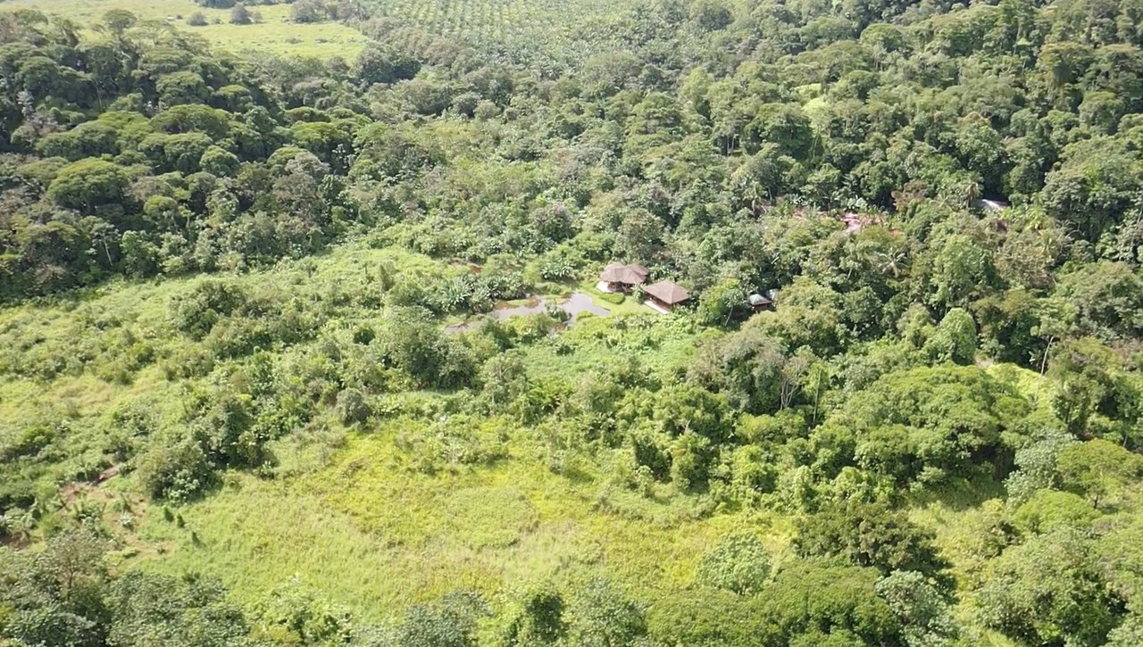 60 Acre Fully Sustainable and Impactful Conservation Initiative Near Golfito: Mountain Multi Unit Building For Sale in Golfito - Gallery image 10