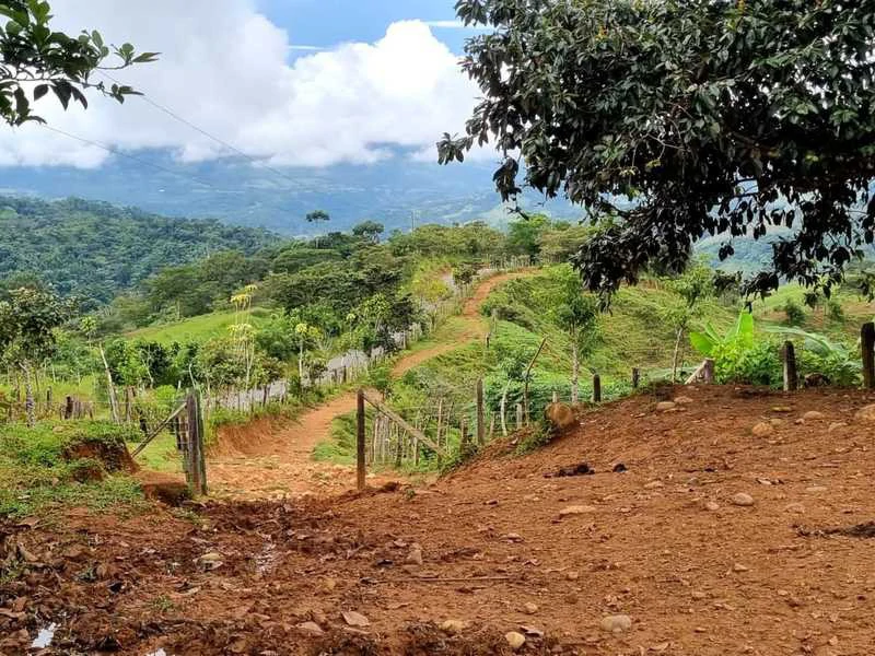 Livestock Farm | Titled property located in Santa Eduviges - Gallery image 9