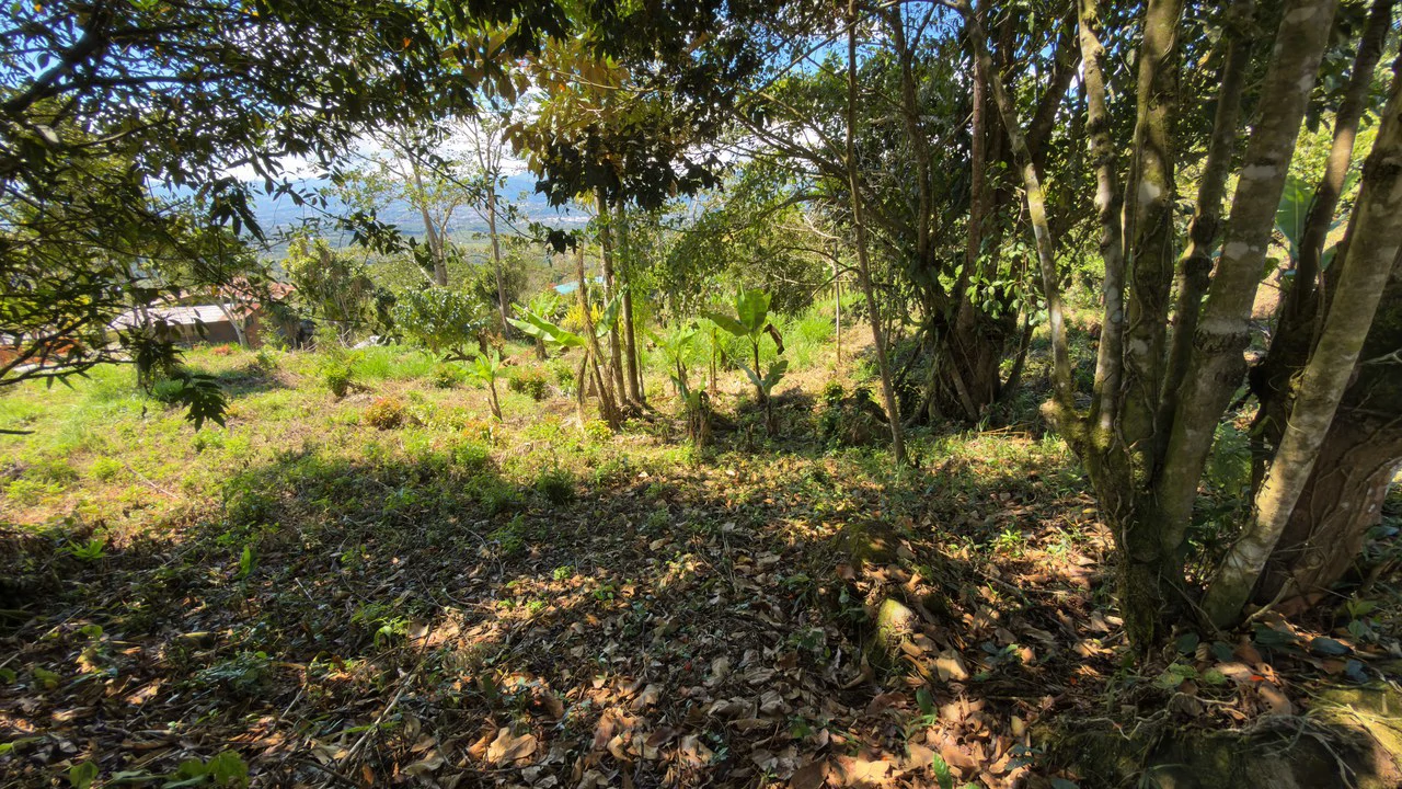 SE VENDE LOTE DE 1066M2, UBICADO EN MIRAVALLES, PEREZ ZELEDON.: Home Construction Site For Sale in Miravalles - Gallery image 6