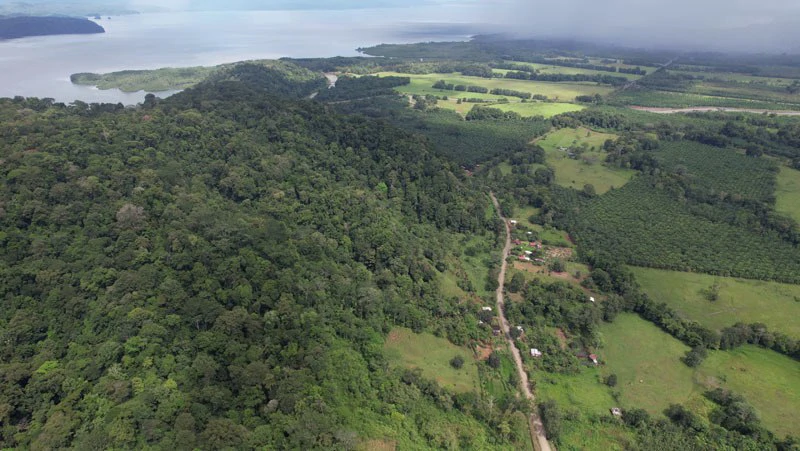 Ocean View & Primary forest 55-ha Rincon de Osa - Gallery image 3