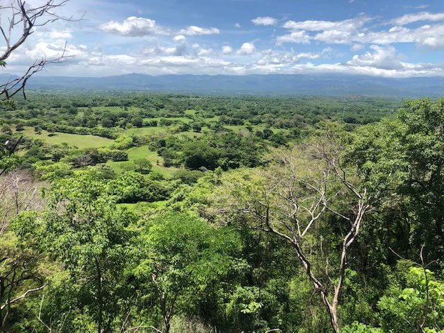 Amazing 50% discount for Huge ocean-view farm for sale surrounded by soft rolling hills and pristine nature - Gallery image 5