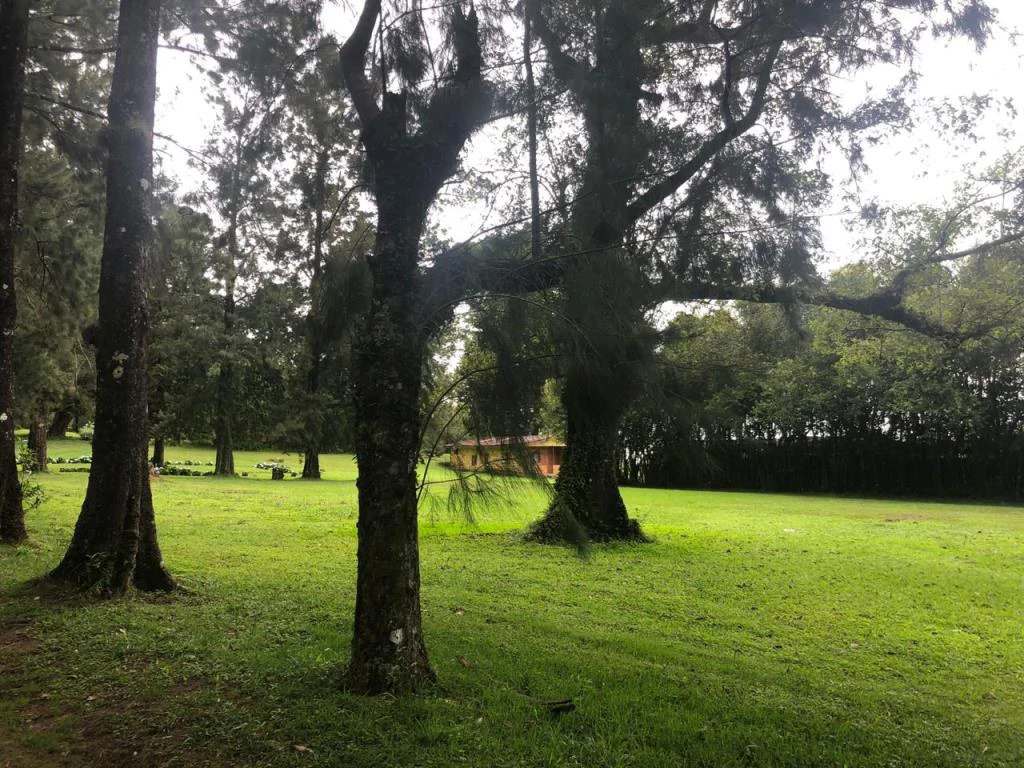 Horse ranch mountain farmland with its own stable's in San Rafael, Heredia - Gallery image 39
