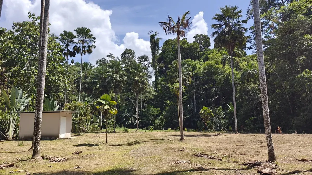 ID 949: 1,547 sqm Build-Ready Lot Near Cahuita and Playa Grande - Gallery image 4