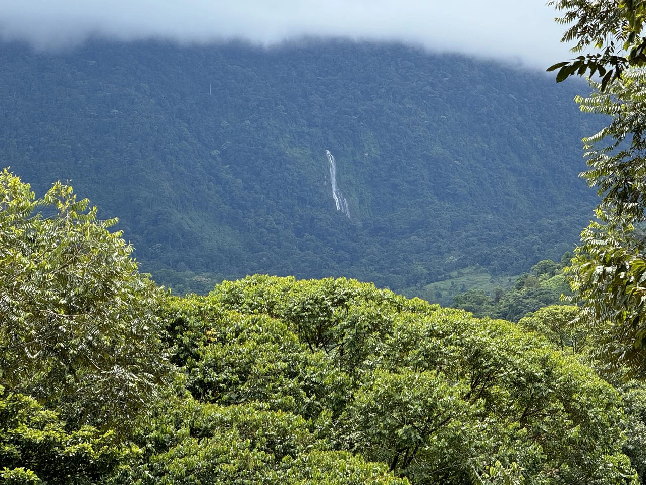 Diamante Waterfall View Land in Dominical 2.9 Acres - Gallery image 36
