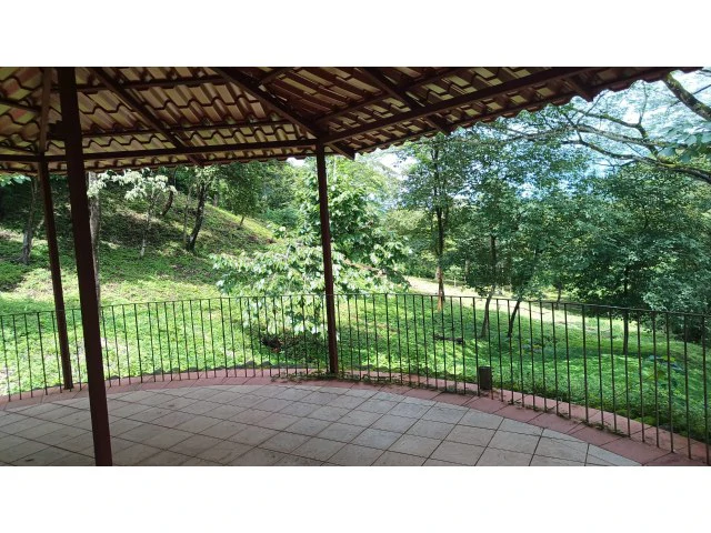 Tamarindo horse farm with two houses, a barn in the best natural setting - Gallery image 39