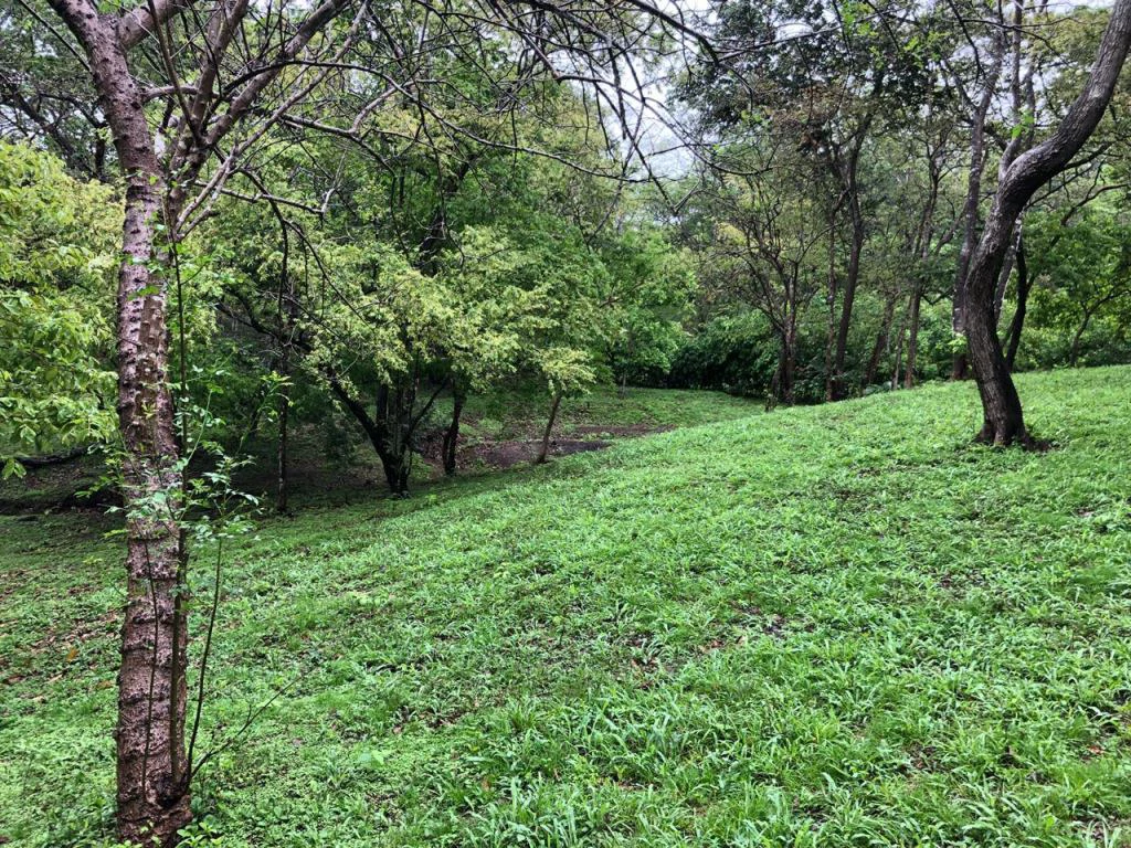 Lot in exclusive Residential, close to Beach Tamarindo - Gallery image 13