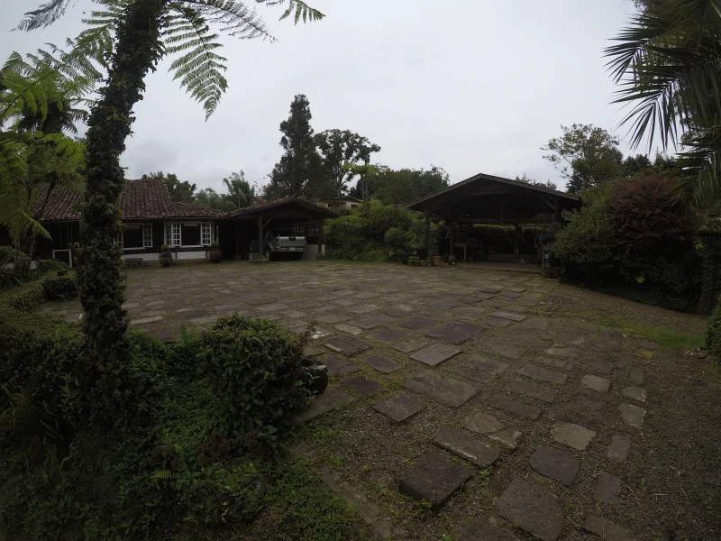 TROPICAL FOREST DREAM 15 min from downtown SJ - Gallery image 15