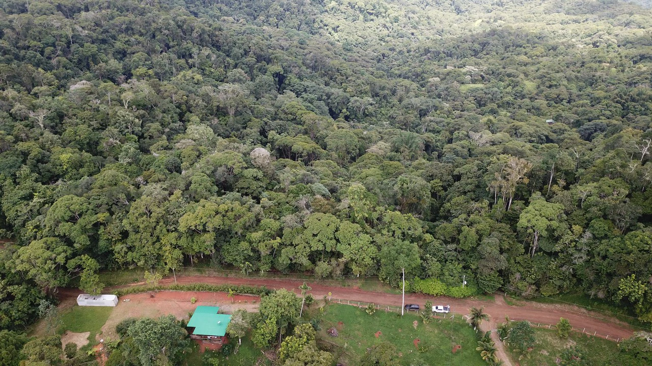 Ocean View Forest Reserve with Private Homesite Near Tinamastes - Gallery image 11