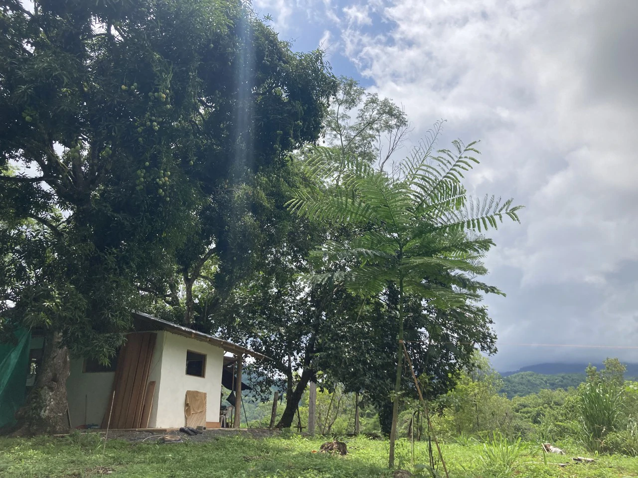 Frog Desing House: Property for Sale in Parrita, Costa Rica - Gallery image 24
