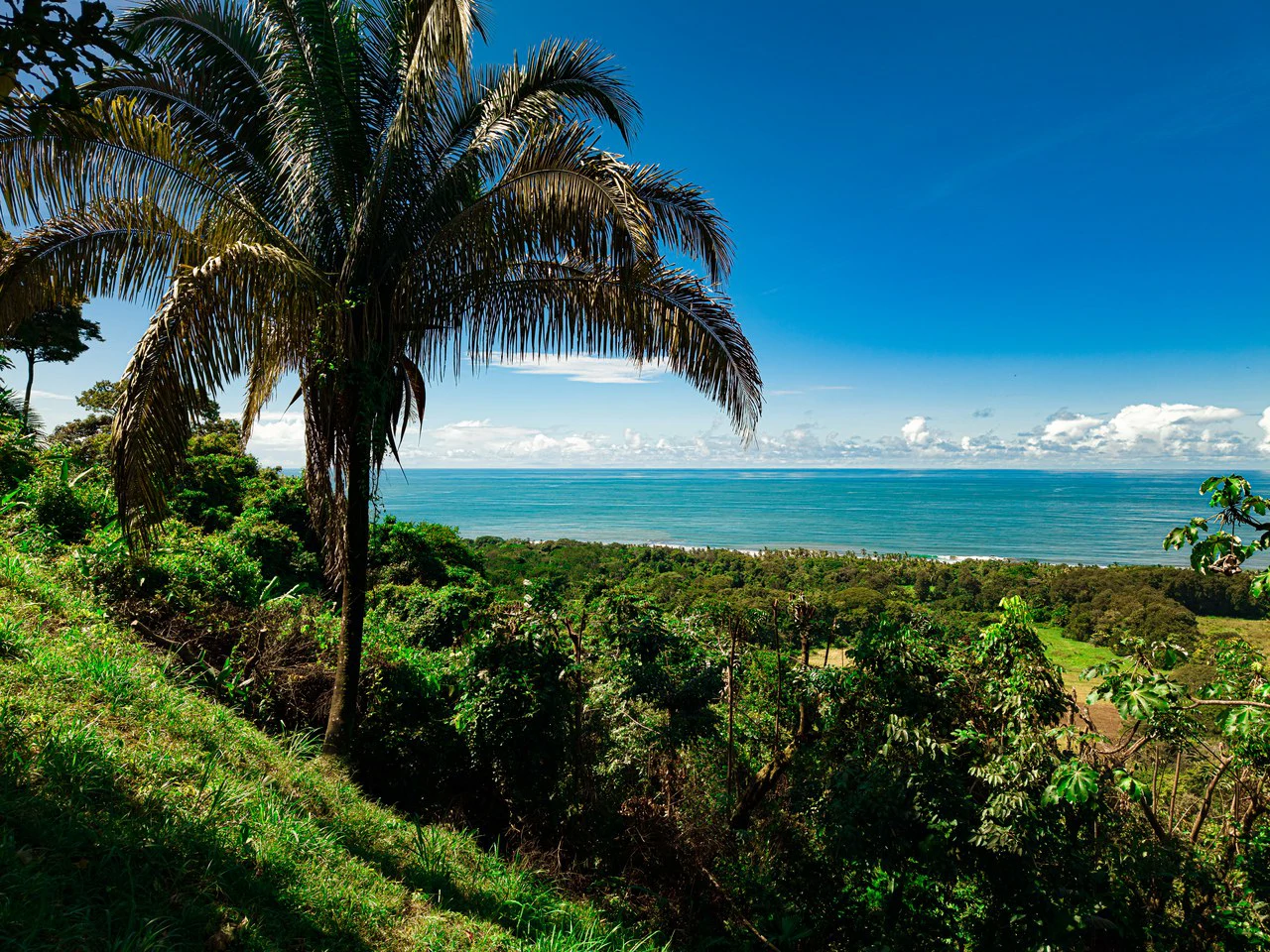 Front Row Ocean View Property with a Private Waterfall in Dominical - Gallery image 3
