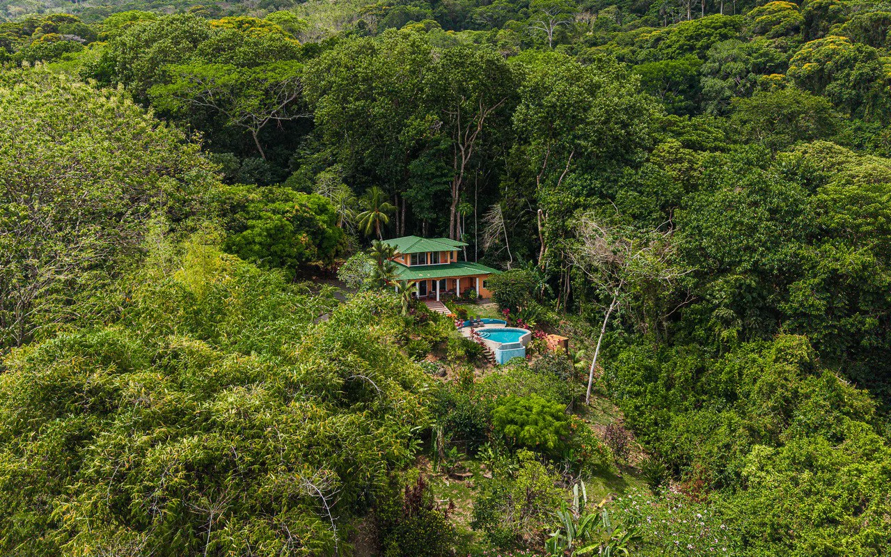 Whale's Tail Ocean View Estate with Extra Lot in Between Uvita and Dominical - Gallery image 95