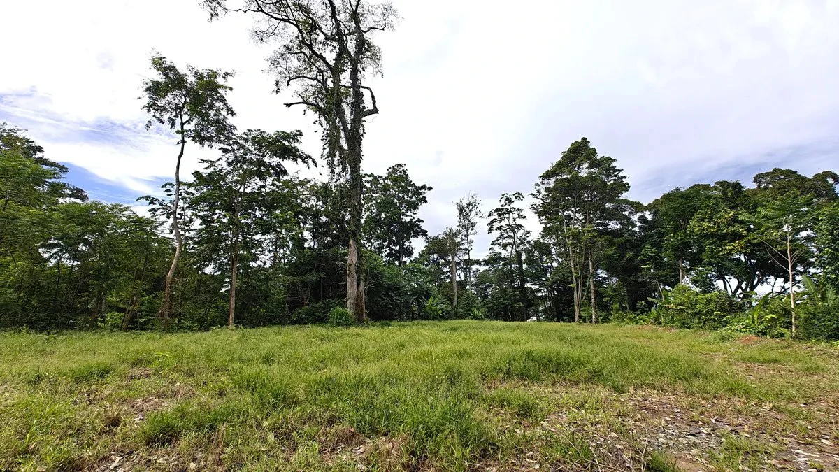 ID 345: 6,763m² Ocean View Development Land for Sale in Puerto Viejo - Gallery image 8